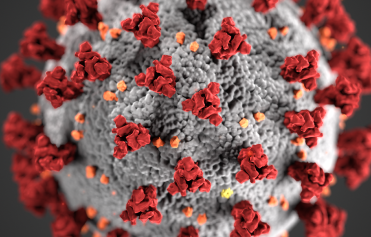 coronavirus close-up